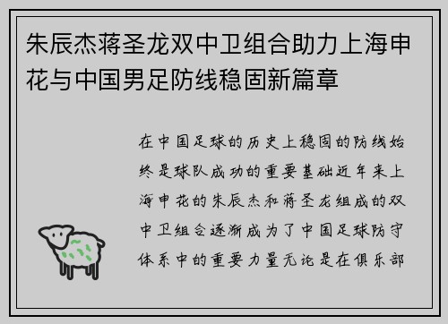 朱辰杰蒋圣龙双中卫组合助力上海申花与中国男足防线稳固新篇章